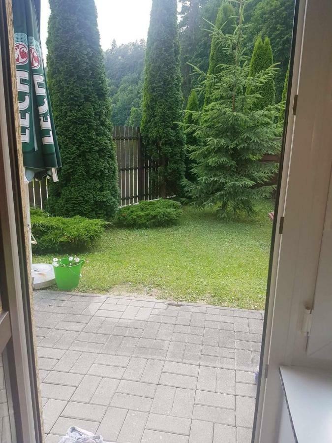 Przy Zrodelku Homestay *